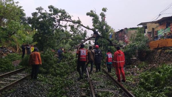 Pohon Tumbang di Cimahi Sebabkan 4 Perjalanan Kereta Api Tertahan