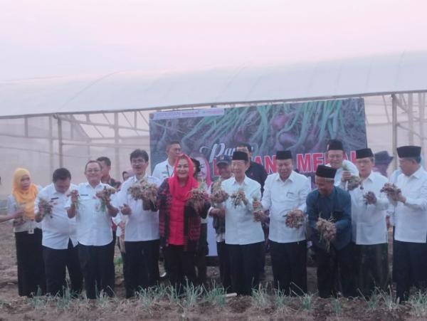 Walikota Semarang Panen Bawang Merah di MAJT, Awal Panen Hasilnya Luar Biasa dan Besar-besar