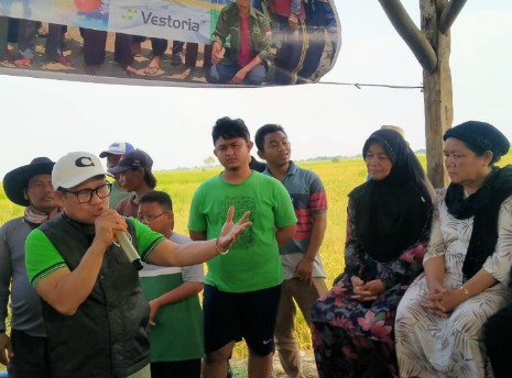 Blusukan Ke Sawah, Cak Imin Dengarkan Curhat Para Petani di Cirebon