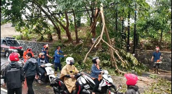 Hujan Deras dan Angin Kencang Rusak Rumah dan Perkantoran, 1 Warga Tewas