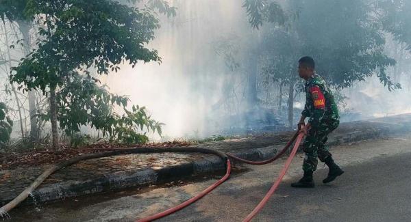Babinsa Kodim 0432 Bangka Selatan Berjibaku Bersama Petugas Damkar Padamkan Kebakaran Lahan