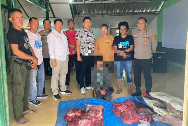 Berburu Rusa di Taman Nasional Way Kambas, 2 Warga Lampung Timur Ditangkap