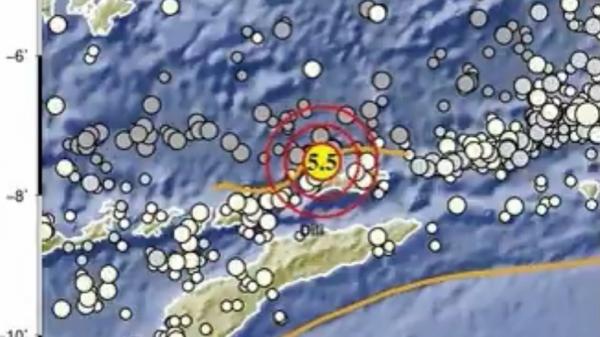 Tidak Berpotensi Tsunami Gempa Terkini M 5,5 Guncang Alor NTT