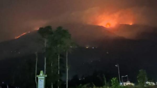 Luasan Lahan Terbakar Gunung Merbabu Capai 489,07 Hektare, Warga Lereng Mulai Mengungsi  