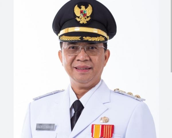 Profil dan Biodata Andri Setiawan Hamami, Pengusaha yang Jadi Wakil Wali Kota Sukabumi Kini Maju DPR