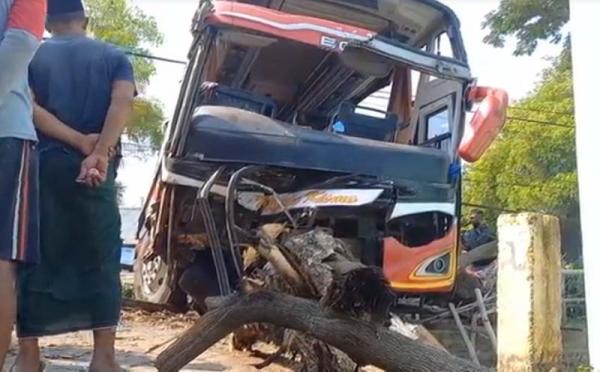 Kecelakaan Hari Ini Bus Pariwisata di Paiton Terguling dan Tabrak Pohon, 2 Tewas di TKP