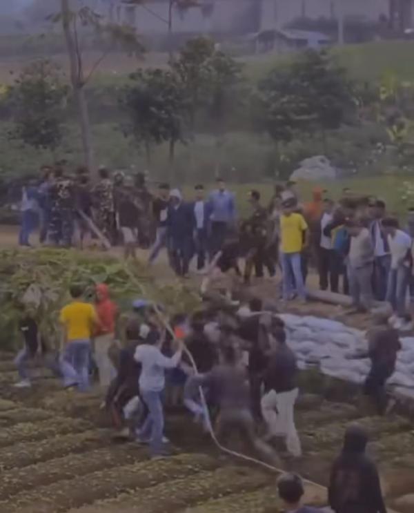 Video Tawuran Antar Suporter di Kejajar Wonosobo Viral, Rusak Lahan Pertanian Warga