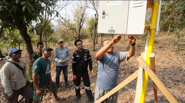 Sensor Gerak, Efektif Usir Babi Perusak Tanaman di Desa Binor Probolinggo