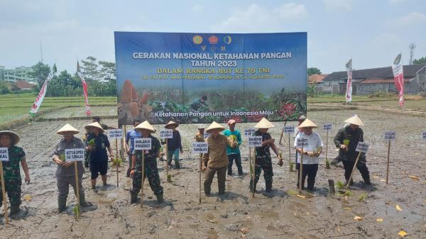 Dukung Gerakan Nasional Ketahanan Pangan 2023, TNI dan Forkopimda Tasikmalaya Lakukan Penanaman Padi
