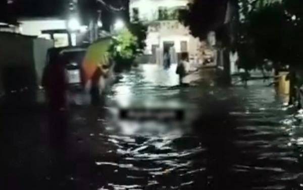 Hujan Deras di Depok Picu Banjir dan Pohon Tumbang