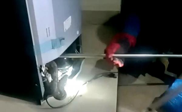 Warga Depok Heboh, Ular Piton 2 Meter Ditemukan di Dalam Mesin Lemari Es