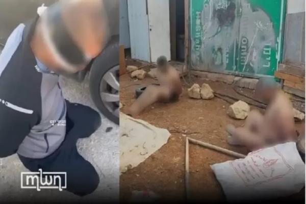 Viral! Aksi Kekejaman Tentara Israel : Tangkap, Telanjangi, Serta Siksa Pria Palestina