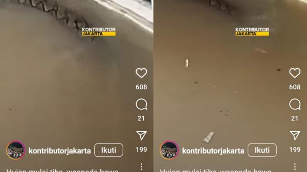 Viral Ular Sanca Berenang Saat Banjir di Jakarta Timur