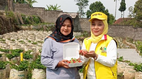 KPM Penerima Program Pena di Ciwidey Bandung Didorong Semakin Berdaya dan Mandiri