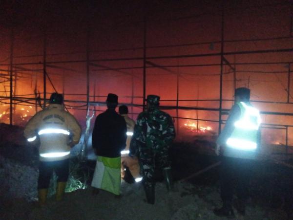 Suhu Panas, Jumlah Kebakaran di Kabupaten Probolinggo Terus Meningkat