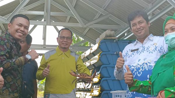 Crab Box Apartemen Mulai Dikembangkan di Desa Lubuk Lingkuk Bangka Tengah