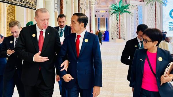 Ini Kesepakatan Hasil Pertemuan Jokowi dan Erdogan Terkait Penyelesaian Masalah Gaza