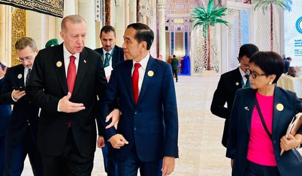 Saat Erdogan Gandeng Erat Jokowi, Sepakat Terus Dukung Perjuangan Palestina