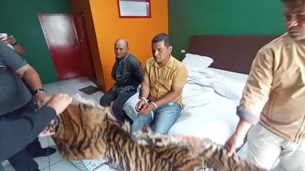 Polda Sumut Tangkap 2 Pria Penjual Kulit Harimau dan Sisik Trenggiling di Hotel