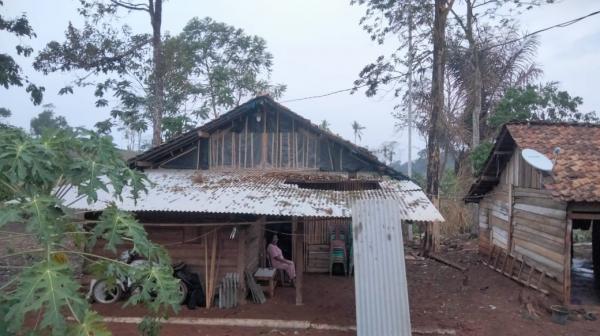 Angin Puting Beliung di Bengkulu Jaya Robohkan Pohon dan Tiang Listrik, Beberapa Rumah Rusak