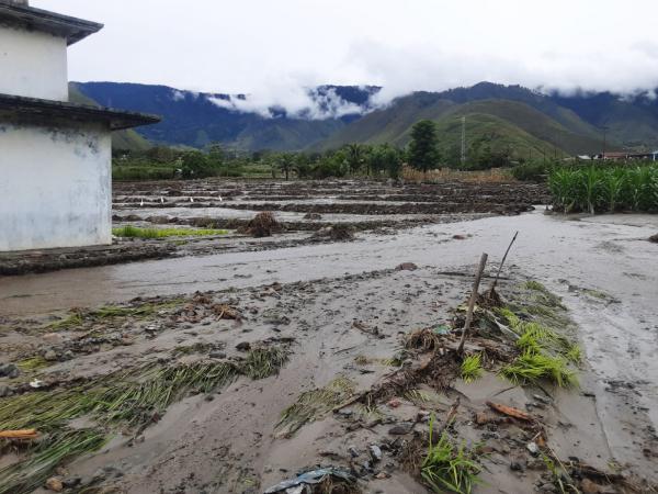 Samosir Dilanda Banjir Bandang, Ribuan Warga Mengungsi Seberangi Danau Toba 