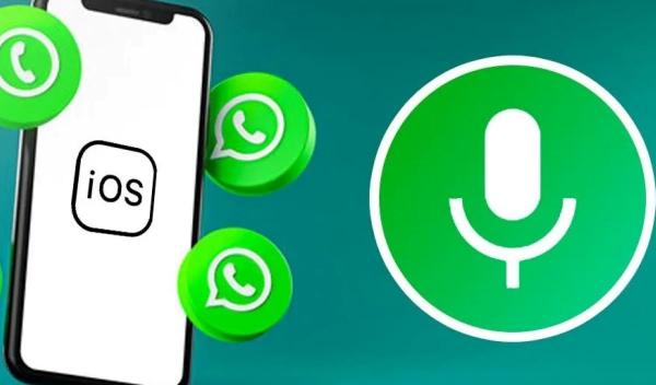 Cara Chat Audio di Grup Whatsapp, Komunikasi Jadi Lebih Efektif