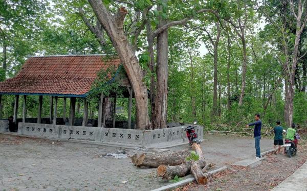 Warga Desa Gemantar Sragen Geram, Pohon di Punden Pucanganom Diduga Ditebang Secara Sepihak