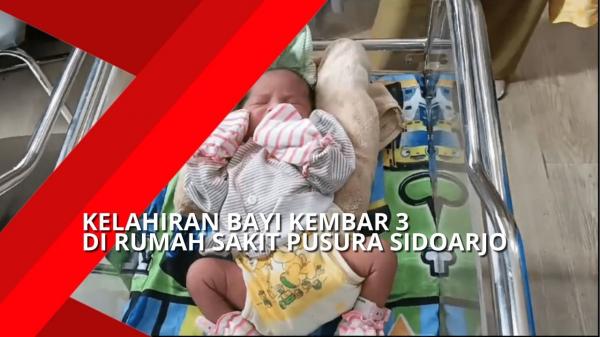 Kelahiran Bayi Kembar 3 di RS Pusura Sidaorjo