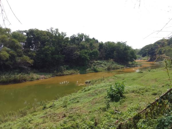 Air Sungai Lusi Grobogan Berubah Warna, Berikut Penjelasan DLH