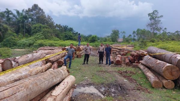 Perambahan Hutan di Riau Masih Marak, Polisi Temukan 215 Tual Kayu