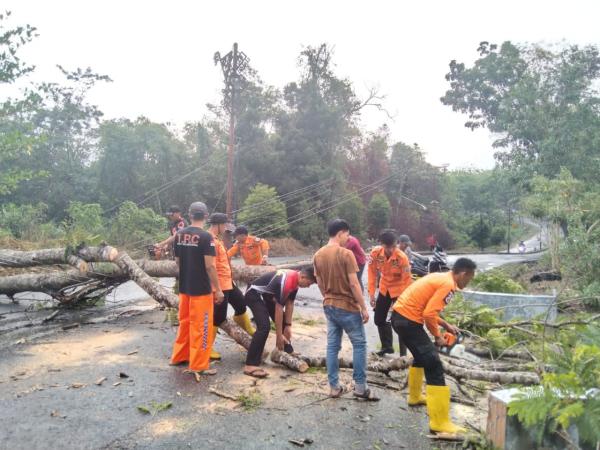 Hujan Deras dan Angin Kencang Melanda Way Kanan, Tiang PLN Roboh hingga Rumah Rusak Tertimpa Pohon