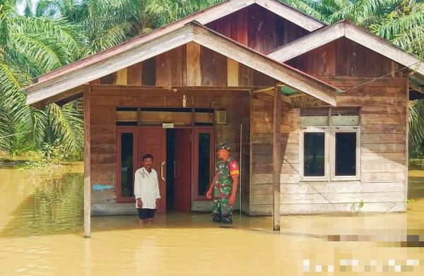 Banjir Rendam Ratusan Rumah di Bonai Darussalam