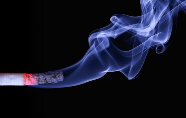 Sekali Gebrak, 13 Ribu Batang Rokok Ilegal di Kota Sukabumi Disita Bea Cukai