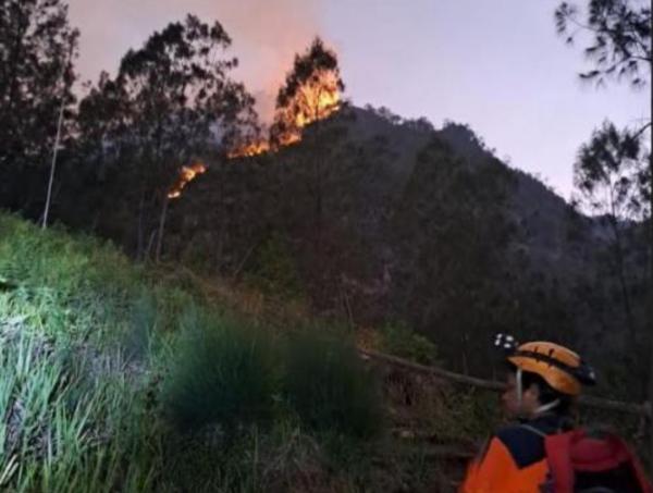 Gunung Panderman Terbakar, Petir Jadi Dalang Kebakaran Hutan