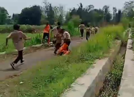 Viral Video Tawuran Pelajar SD di Cirebon, Saling Kejar di Area Pesawahan