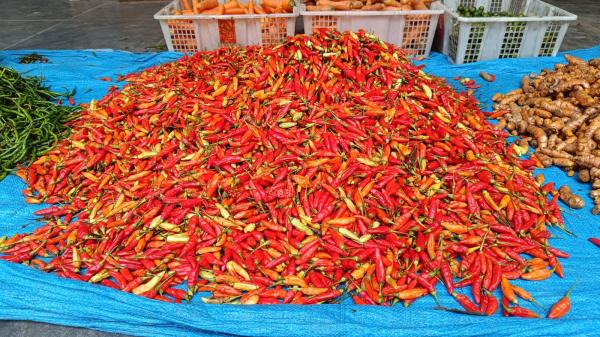 Harga Cabai di Pasar Mentok Bangka Barat Kian Pedas, Tembus Rp160 Ribu Sekilo