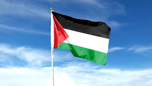 Depok Gelar Aksi Damai Dukung Palestina, Diperkirakan Dihadiri 150 Ribu Warga
