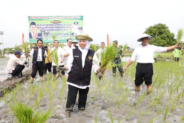 Gubernur Jatim Puji Kabupaten Tuban, Mampu Bangkitkan Petani dengan Pupuk Organik