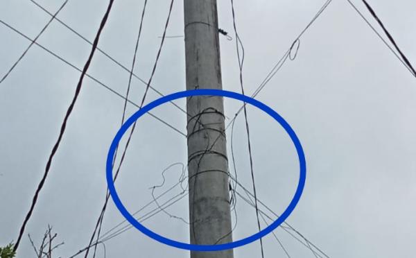 Kabel Wifi Ilegal Meresahkan Menempel di Tiang Listrik, PLN Dirugikan atau Diuntungkan?