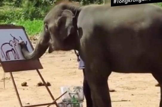 Viral, Gajah Ternyata Bisa Melukis Gajah, Netizen: Saya Tidak Bisa Menggambar Diri Sendiri