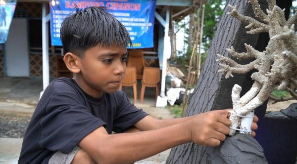 Jaga Habitat Agar Tidak Punah, Bocah Pesisir Pantai Pandeglang Diedukasi Cara Bikin Rumah Lobster