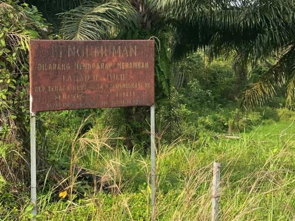 Pertahun Terima Dana Rutin 6 Milyar, Lingkungan BPPMDDTT Bengkulu dikepung Semak Belukar