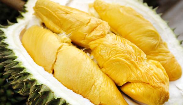 Terkenal di Dunia, Benarkah Durian Musang King Berasal dari Malaysia? Cek Faktanya