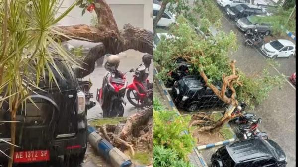 Hujan Angin Bikin Pohon Tumbang Menimpa Mobil Dinas Pemkab Ponorogo