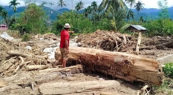 Warga Diduga Melakukan Illegal Logging, Picu Banjir Bandang di Aceh Tenggara