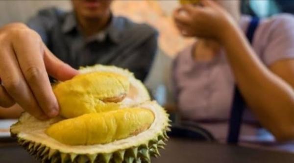 6 Arti Mimpi Makan Durian, Bisa Jadi Pertanda Baik Dan Buruk. Ada Hubungannya Dengan Rezeki?