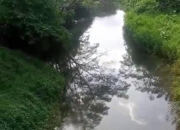 Aktivis Baksel Minta DLH Selidiki Dugaan Pencemaran Sungai Akibat Limbah PKS PTPN VIII di Banjarsari