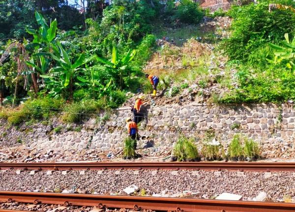 Begini Cara KAI Daop 4 Semarang Cegah Longsor di Sepanjang Jalur Kereta Api