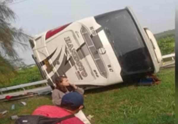 Tragis!  Bus Handoyo Terguling di Tol Interchange Tol Cikampek, 12 Orang Tewas