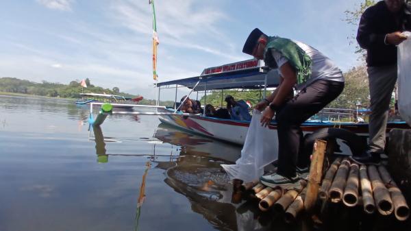 Keren, Sandiaga Uno Tanam Ribuan Bibit Ikan Gurame di Situ Gede Kota Tasikmalaya
